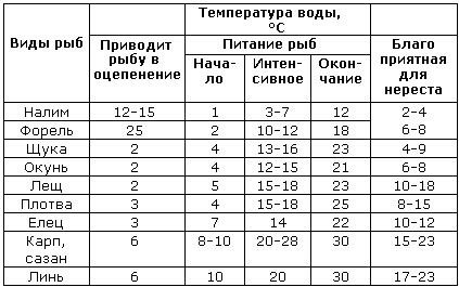 234444.jpg